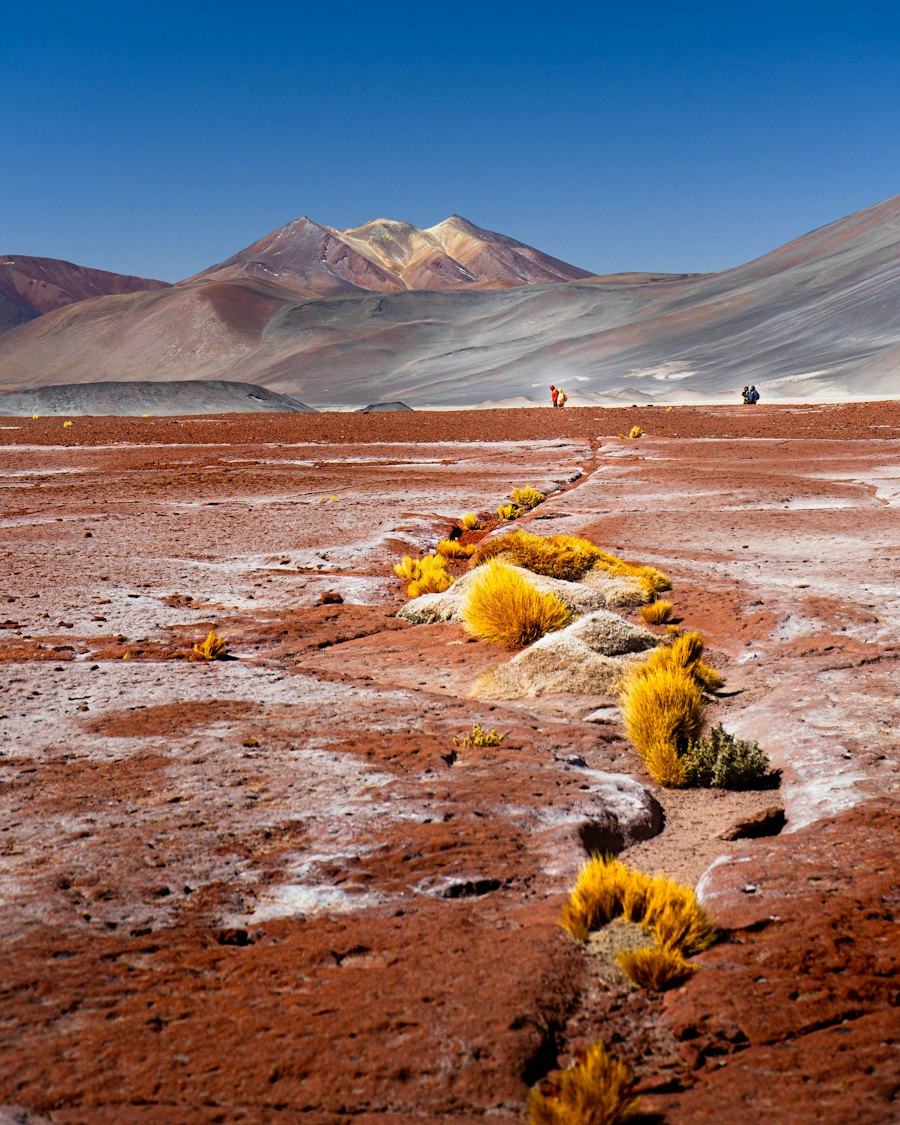 Salar no Atacama